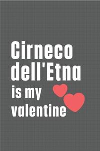 Cirneco dell'Etna is my valentine