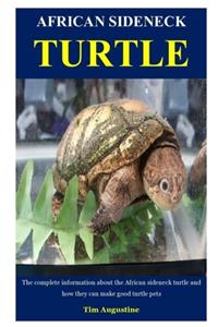 African Sideneck Turtle
