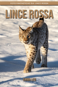 Lince rossa: Foto fantastiche sul Lince rossa