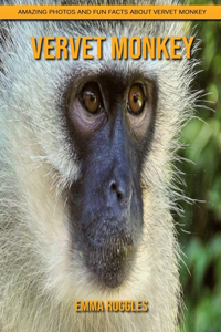 Vervet Monkey