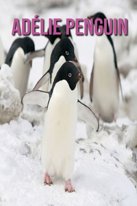 Adélie Penguin
