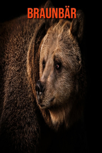 Braunbär