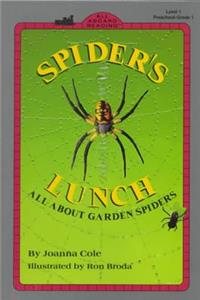 Spider's Lunch: All about Garden Spiders