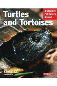 Turtles and Tortoises