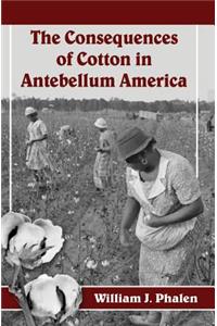 Consequences of Cotton in Antebellum America