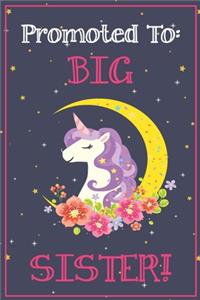 Big Sister Journal - Big Sister Notebook