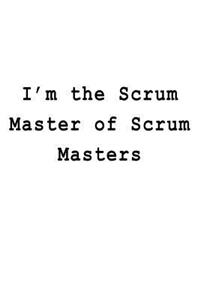 I'm the Scrum Master of Scrum Masters