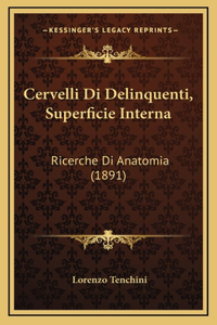 Cervelli Di Delinquenti, Superficie Interna