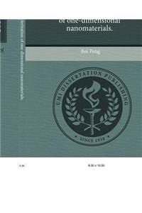 Mechanical Characterization of One-Dimensional Nanomaterials.