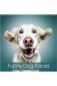 Funny Dog Faces 2018