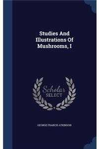 Studies And Illustrations Of Mushrooms, I