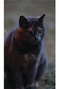 Kid's Petite Barn Cat Journal