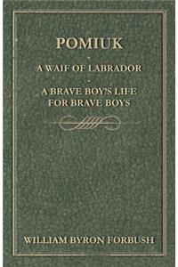 Pomiuk - A Waif of Labrador - A Brave Boy's Life for Brave Boys