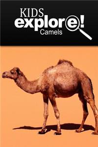 Camels - Kids Explore