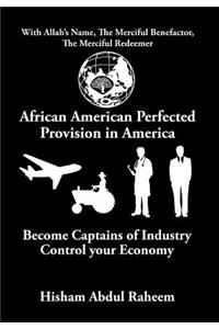 African American Perfected Provision in America: Become Captains of Industry Control your Economy