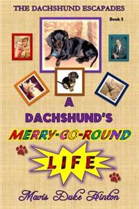 Dachshund's Merry-Go-Round Life