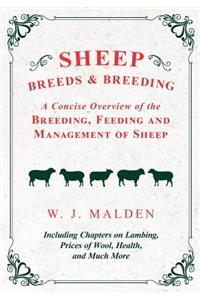 Sheep Breeds and Breeding - A Concise Overview of the Breeding, Feeding and Management of Sheep, Including Chapters on Lambing, Prices of Wool, Health, and Much More