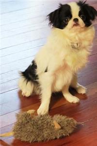 The Japanese Chin Dog Journal