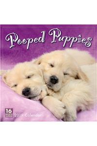 2019 Pooped Puppies 16-Month Wall Calendar: By Sellers Publishing