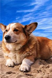 Happy Welsh Corgi Puppy Dog on the Beach Journal