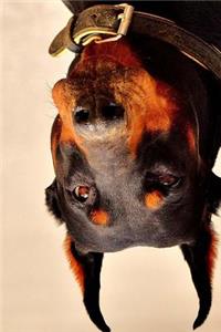 What the..... Doberman Notebook