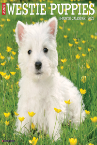 Just Westie Puppies 2022 Wall Calendar