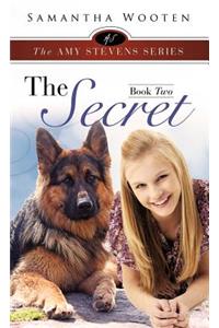The Amy Stevens Series the Secret Book Two