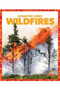 Wildfires