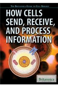 How Cells Send, Receive, and Process Information