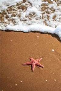 Sea Star on the Beach Journal