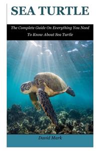 Sea Turtle