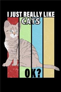 I Just Really Like Cats Ok?