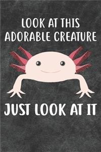 Look At This Adorable Creature Just Look At It Notebook Journal