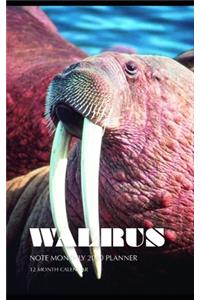 Walrus Note Monthly 2020 Planner 12 Month Calendar