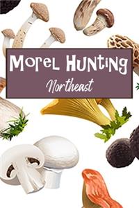 Morel Hunting Northeast