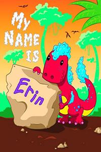My Name is Erin