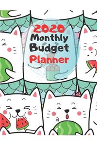 Monthly Budget Planner 2020