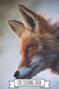 Fox Coloring Book