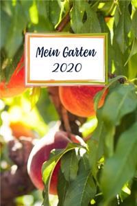 Mein Garten 2020
