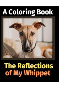 Reflections of My Whippet