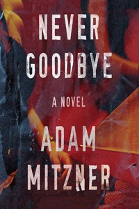 Never Goodbye