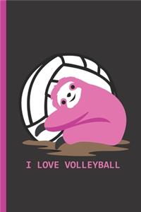 I Love Volleyball