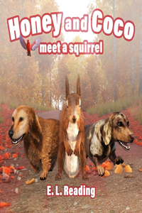 Honey and Coco meet a squirrel