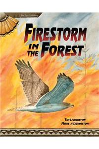 Firestorm in the Forest