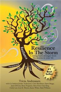 Resilience In The Storm