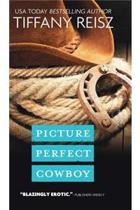 Picture Perfect Cowboy