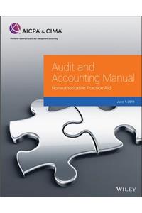 Audit and Accounting Manual: Nonauthoritative Practice Aid, 2019