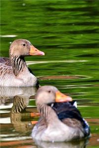 Wild Geese Notebook
