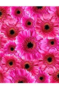 Gerber Daisy Journal: (Large 8.5 x 11) (150 Blank Lined Pages, Soft Cover) (Diary, Notebook)