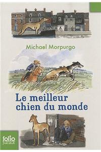 Le Meilleur Chien Du Monde